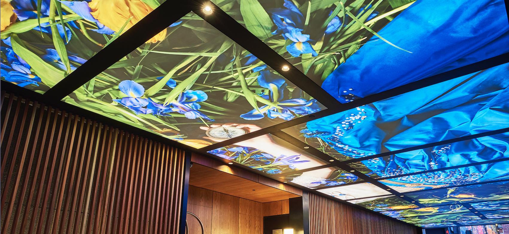 Printed Stretch Ceilings - Image 6