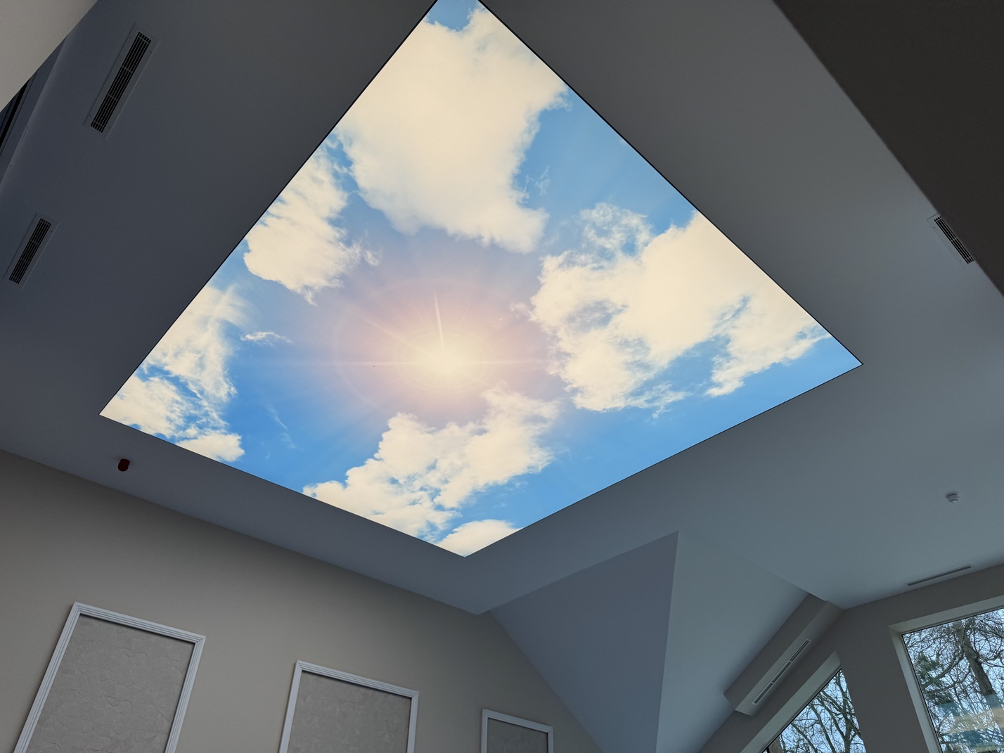 Printed Stretch Ceilings - Image 3