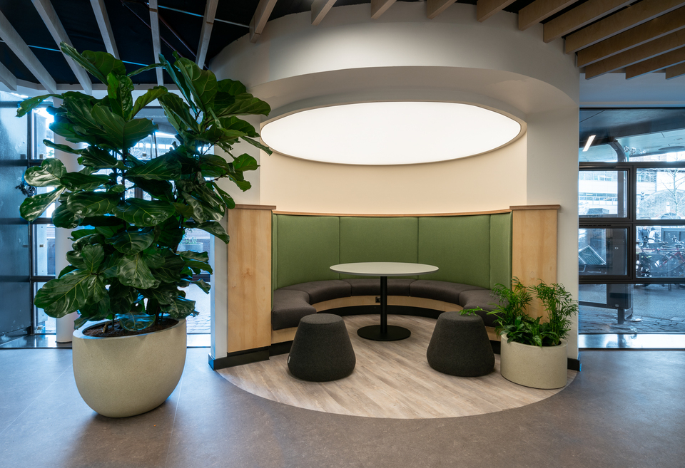 Light Transmitting Stretch Ceilings - Image 2